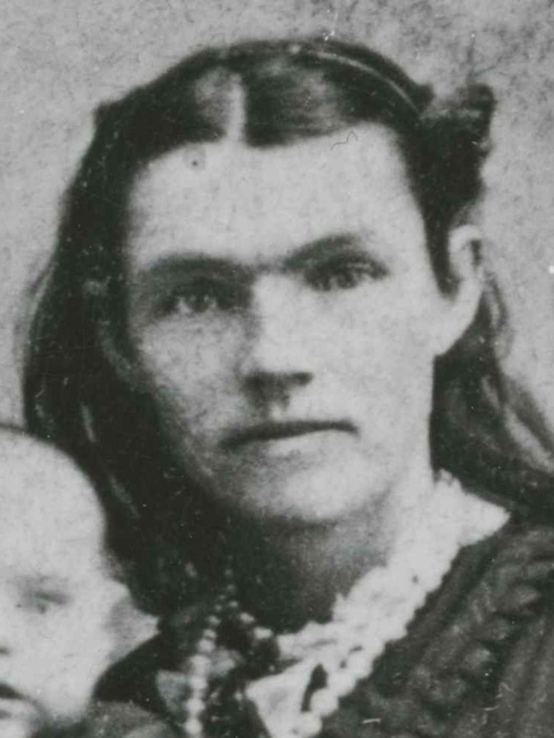 Cynthia Selena McClellan (1850 - 1884) Profile